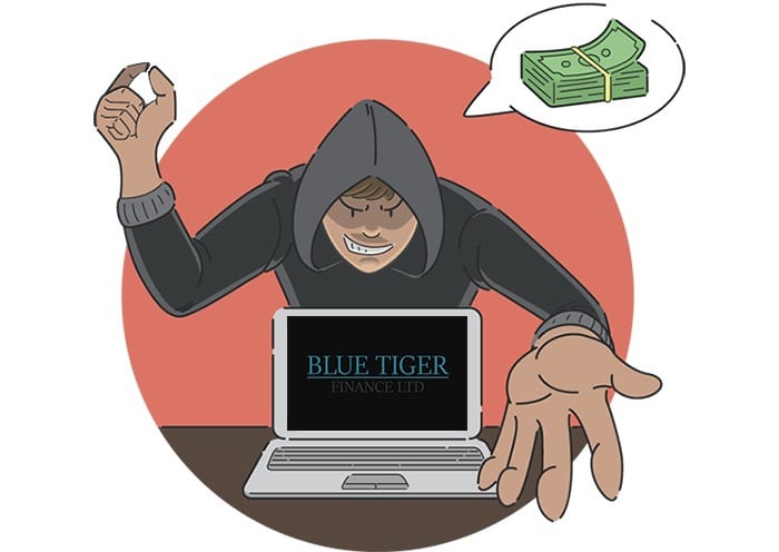 blue tiger finance