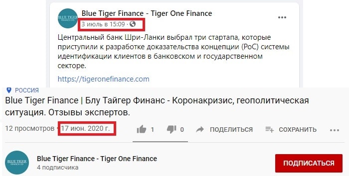 blue tiger finance ltd