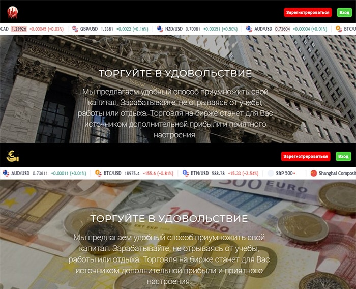 ny trader club лохотрон